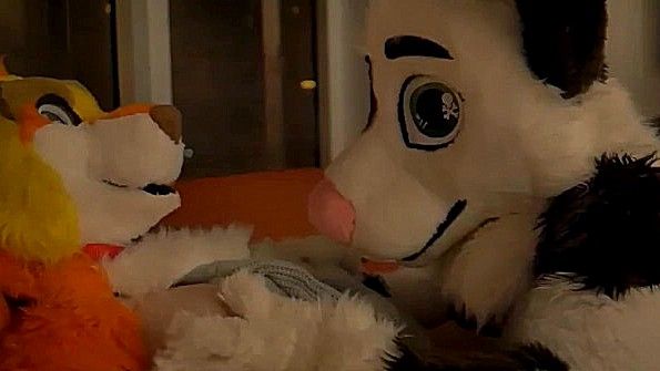 Чернокожая женщина и белая женщина пробуют позу «69»