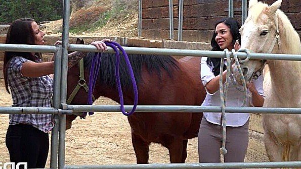 Старуха постоянно занималась с мальчиком сексом