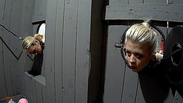 Похотливая брюнетка делает великолепный минет