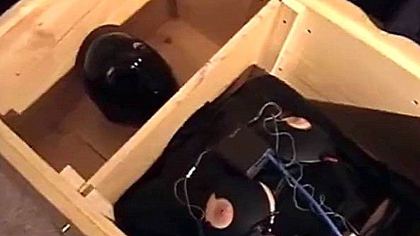 Студент стонет во время грубого секса