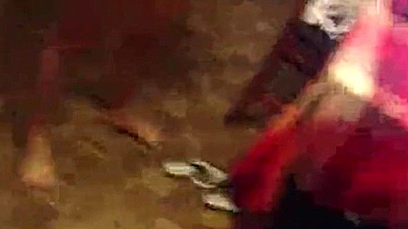 Брюнетка сосет огромный член