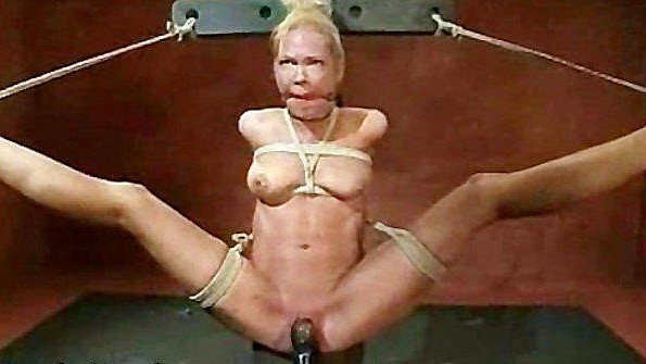 Девушки на четвереньках в порноколлекции