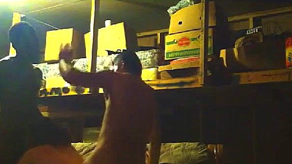 Мать помогает сыну в спаривании